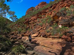 Kings Canyon