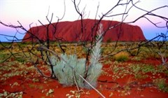Ayers Rock (Uluru)