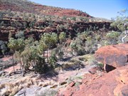 View downstream into valley from gorge rim