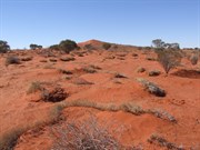 Another Shot of Geosurveys Hill