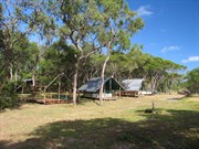 Beachfront cabins