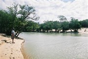 Edge of Running Creek 