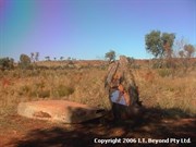 Surrounding area at Well 15