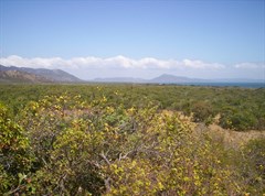 Bathurst Bay