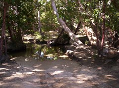 Bathurst Bay