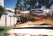 Crocodile at Normanton