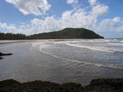 Cape Tribulation Track 1985