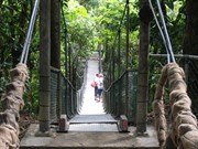 Rex Creek Swing Bridge