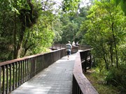 Anti-skid boardwalk