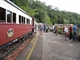 Scenic railway at Barron falls 