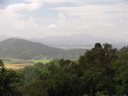 Tropical Cairns