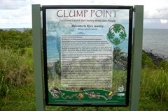 Clump Point