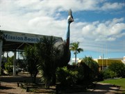 The Big Cassowary at Mission Beach