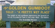 Golden Gumboot Information