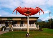 The Big Crab 