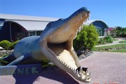 Kronosaurus at Richmond