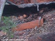 Rusty bucket 