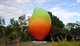 The%2bBig%2bMango