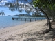 Dingo beach