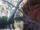 Durba Springs