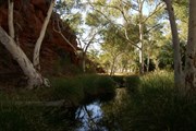 Durba Spring