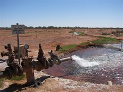 Thargomindah