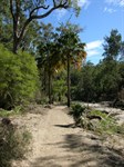 Walking track down to Big Bend