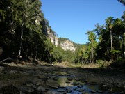 Cliff walls beside walking track