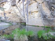 The river at Big Bend