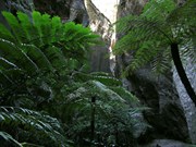 Lots of steps to get there but its pure water and ultra cool 