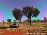 Camping Area