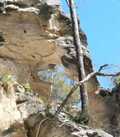Robinson Gorge 
