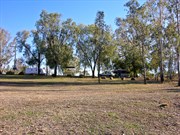Campground at Surat clean & gold coin donation