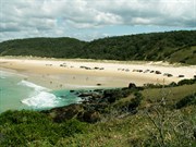 Double Island Point