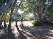 Wallam Creek - free camp
