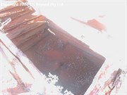 Shallow Well 