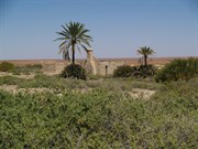 Dalhousie Ruins