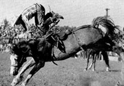 The fireball Curio born on Macumba in action at Marrabel 