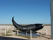 Nullabor Roadhouse