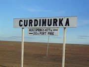 Curdimurka 