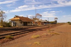 Tarcoola