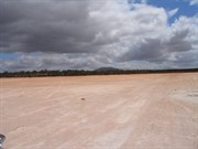Mount Finke in distance