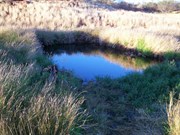 View of Well 24