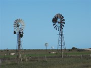 Penong Windmills