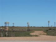 Penong Windmills