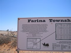 Farina