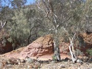 Ochre Wall