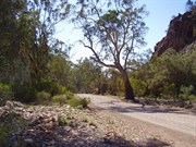 The road through the gap/gorge