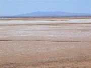 Mount Michael dwarfed by the Flinders Ranges
