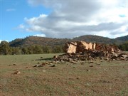 The remains of Artimore Homestead